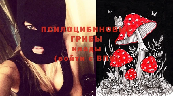 apvp Краснотурьинск