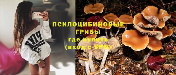 ALPHA-PVP Краснослободск